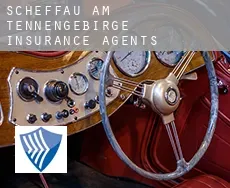 Scheffau am Tennengebirge insurance agents