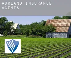 Aurland  insurance agents