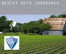 Bescat  auto insurance