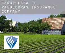 Carballeda de Valdeorras  insurance company