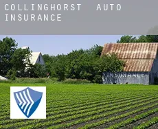 Collinghorst  auto insurance