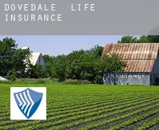 Dovedale  life insurance