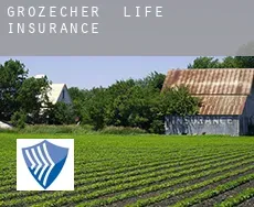Großzecher  life insurance