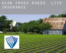 Kean Cross Roads  life insurance