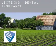 Leitzing  dental insurance