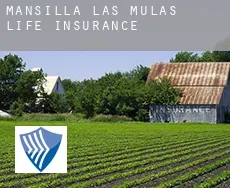 Mansilla de las Mulas  life insurance