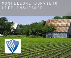 Monteleone d'Orvieto life insurance