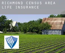 Richmond (census area)  life insurance