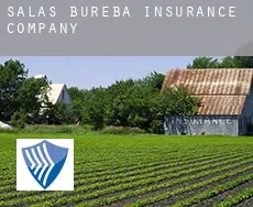Salas de Bureba  insurance company