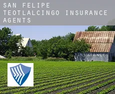 San Felipe Teotlalcingo  insurance agents