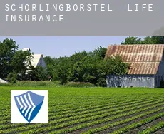 Schorlingborstel  life insurance