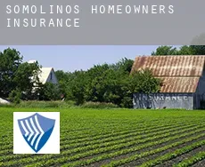 Somolinos  homeowners insurance