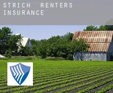 Strich  renters insurance