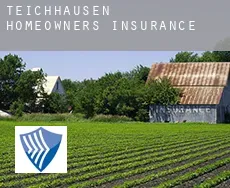 Teichhausen  homeowners insurance
