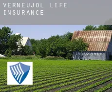 Verneujol  life insurance