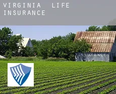 Virginia  life insurance