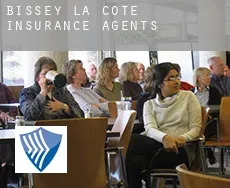 Bissey-la-Côte insurance agents