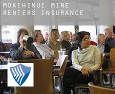 Mokihinui Mine  renters insurance