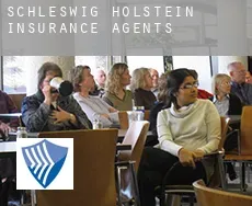 Schleswig-Holstein  insurance agents