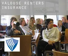 Valouse  renters insurance