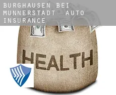 Burghausen bei Münnerstadt  auto insurance