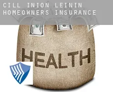 Cill Iníon Léinín  homeowners insurance