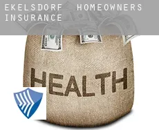 Ekelsdorf  homeowners insurance