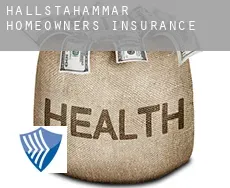 Hallstahammar Municipality homeowners insurance