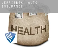 Jerrisbek  auto insurance