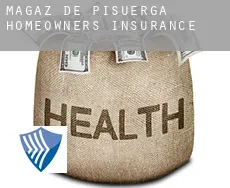 Magaz de Pisuerga  homeowners insurance