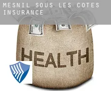 Mesnil-sous-les-Côtes  insurance