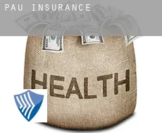 Pau  insurance