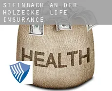 Steinbach an der Holzecke  life insurance