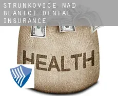 Strunkovice nad Blanicí  dental insurance