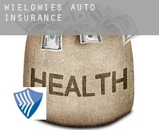 Wielowieś  auto insurance