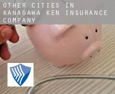 Other cities in Kanagawa-ken  insurance company