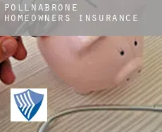 Pollnabrone  homeowners insurance