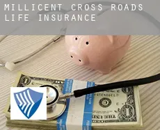 Millicent Cross Roads  life insurance