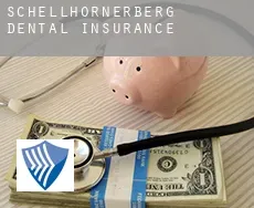 Schellhornerberg  dental insurance