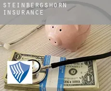Steinbergshörn  insurance