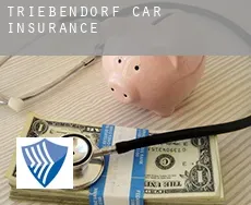 Triebendorf  car insurance