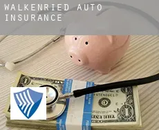 Walkenried  auto insurance