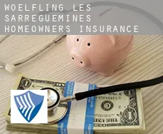 Wœlfling-lès-Sarreguemines homeowners insurance