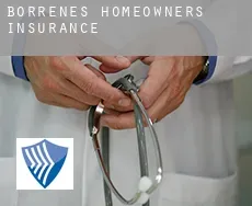 Borrenes  homeowners insurance