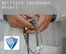 Deliceto insurance agents