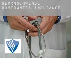 Herrnschwende  homeowners insurance