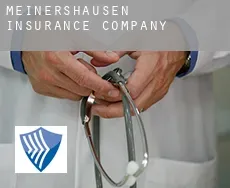 Meinershausen  insurance company