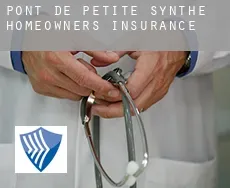 Pont de Petite Synthe  homeowners insurance