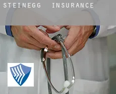 Steinegg  insurance