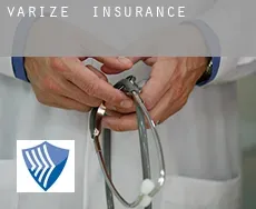 Varize  insurance